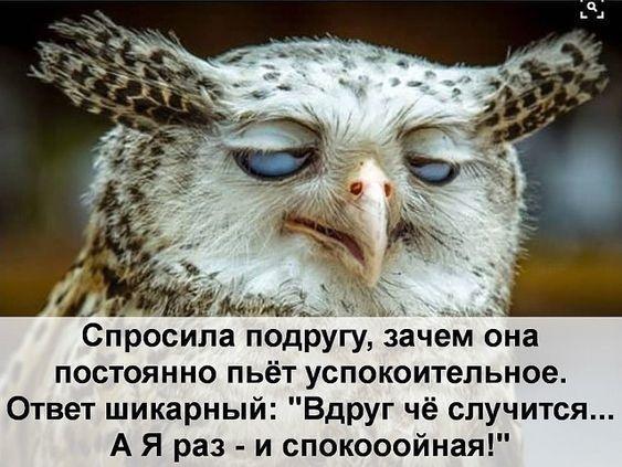 Лучшие фото и картинки с надписями