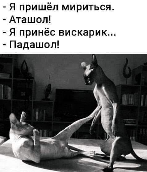Лучшие фото и картинки с надписями