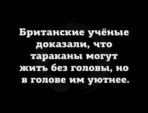 Свежие хорошие шутки на картинках