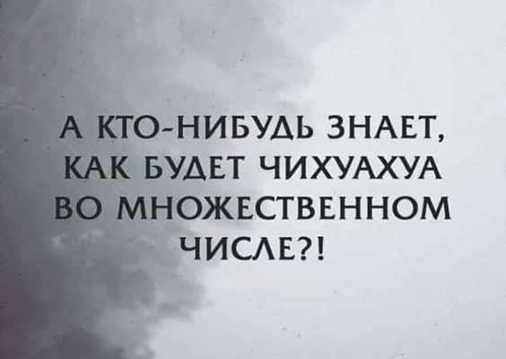 Свежие хорошие шутки на картинках