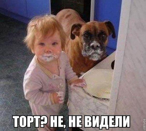 Хорошие фото и картинки с надписями