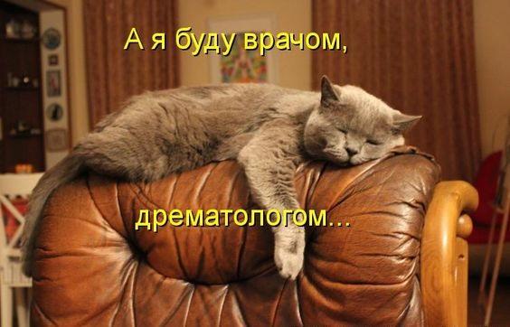 Хорошие фото и картинки с надписями