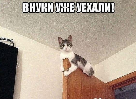 Улетные фото и картинки с надписями