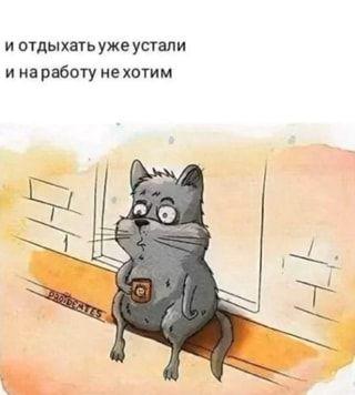 Супер прикольные фото и картинки с надписями