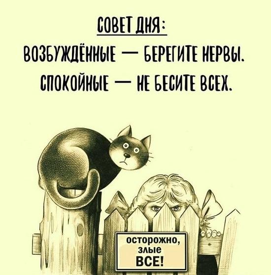 Супер веселые фото и картинки с надписями