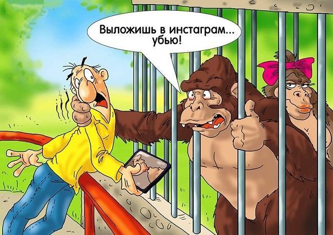 Смешные карикатуры про обезьян