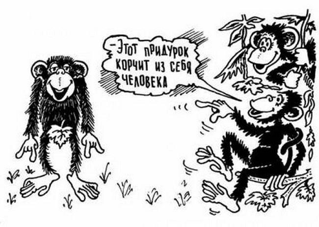 Смешные карикатуры про обезьян