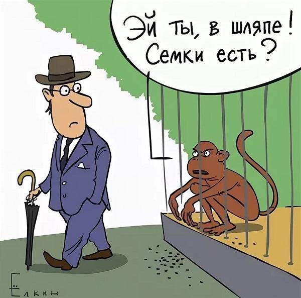 Смешные карикатуры про обезьян