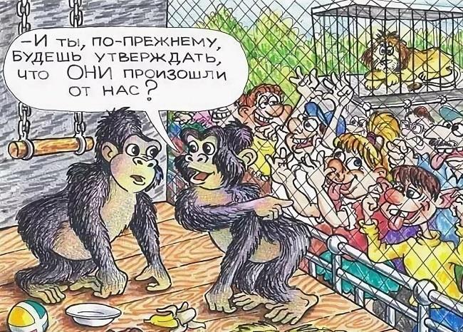 Смешные карикатуры про обезьян