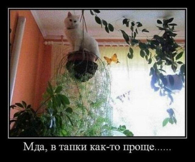 Улетные демотиваторы