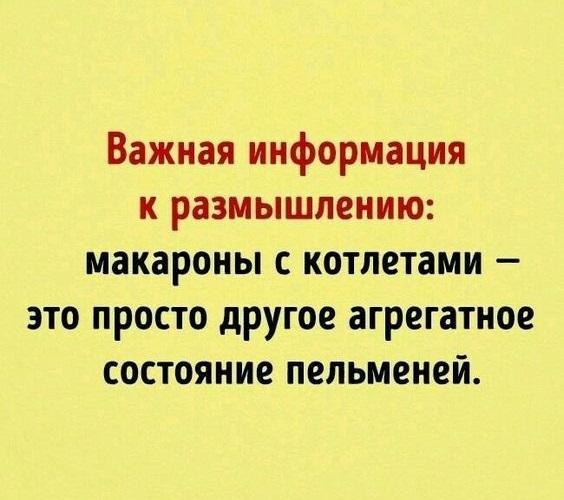 Подробнее о статье Супер улетные свежие шутки