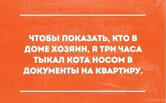 Подробнее о статье Супер угарные свежие шутки