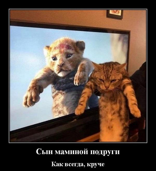 Убойные демотиваторы