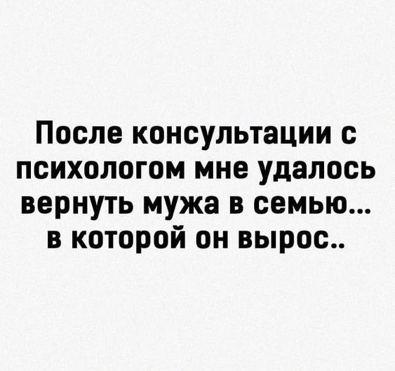 Подробнее о статье Очень смешные новые шутки