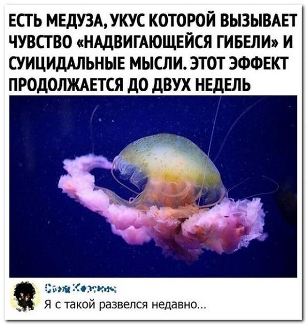 Самые ржачные комментарии из соцсетей (картинки)