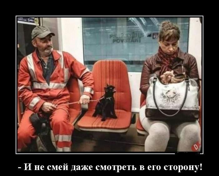 Подборка очень смешных демотиваторов