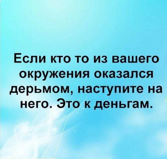 Подробнее о статье Самые ржачные новые шутки