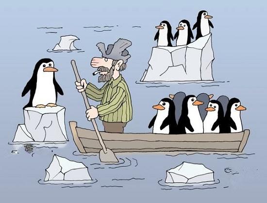 Подробнее о статье Анекдоты про пингвинов