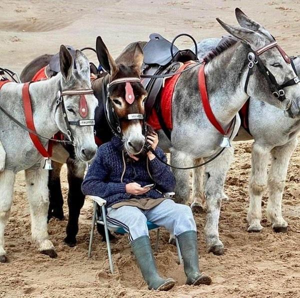 Подборка веселых фотографий