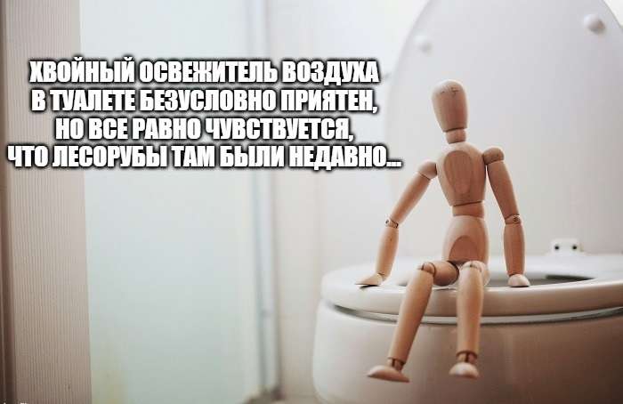 картинка про туалет и освежитель