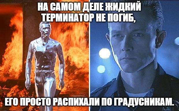 шутка про терминатора и термометр