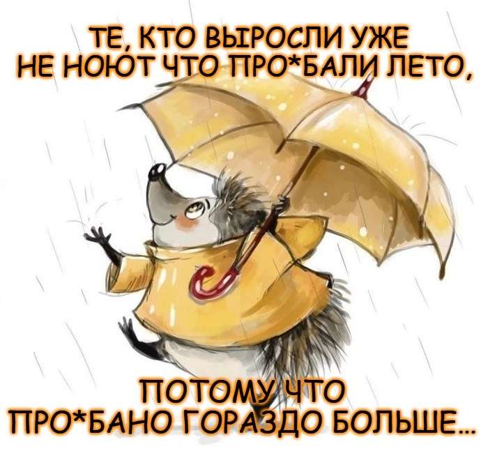 шутки про прошедшее лето