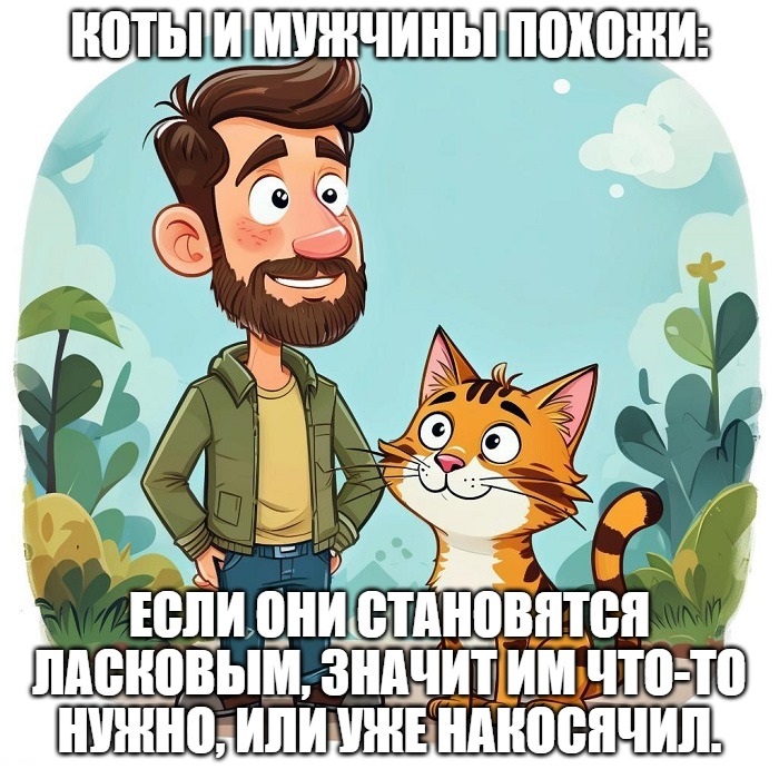 мужчины и коты так похожи