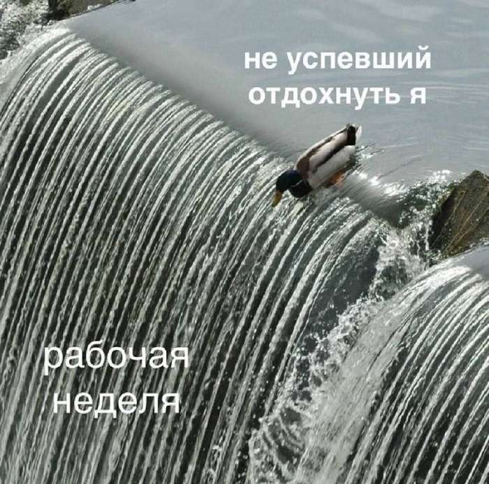Шутка про отдых и работу