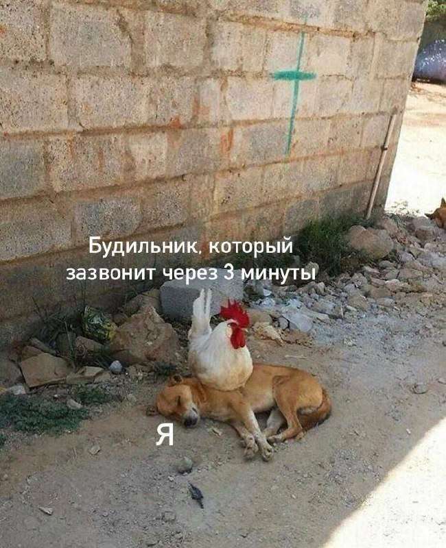 шутки про меня и будильник на картинке