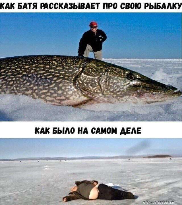 смешная картинка про батю и рыбалку