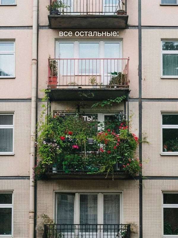 Мем про себя и остальных