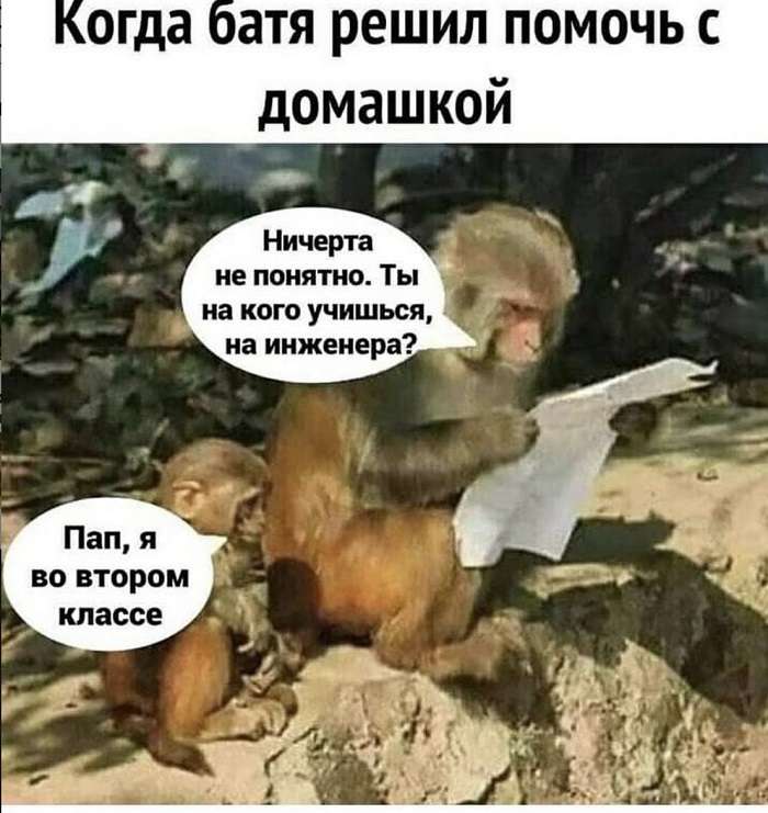 шутка про сына второклассника