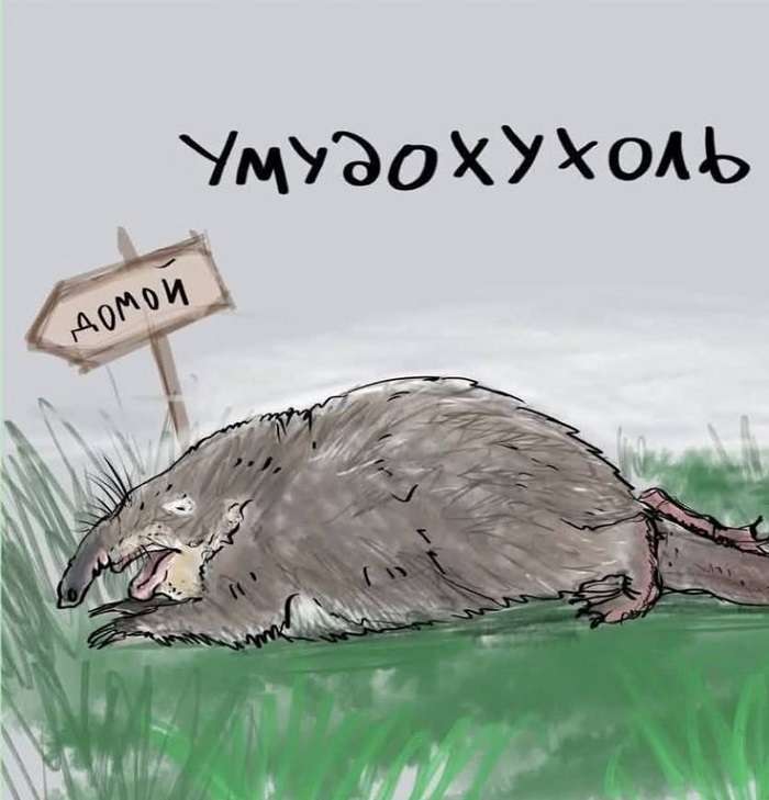 Смешная картинка про выхухоль и умудохухоль