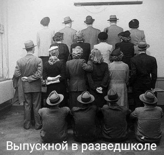 Прикольная картинка про школу