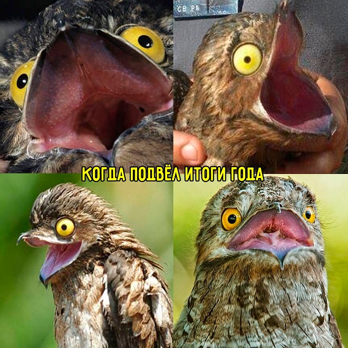 ужас про итоги года