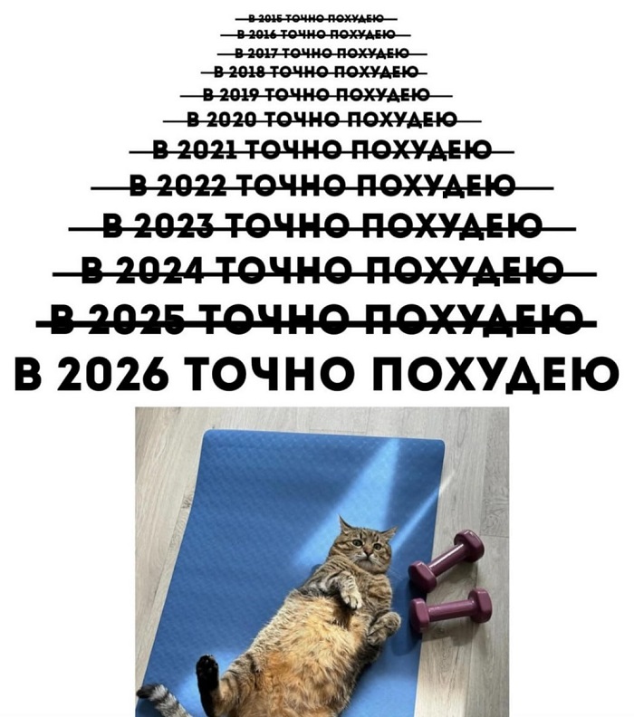 прикольный мем про похудение