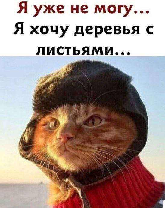 смешной мем про весну