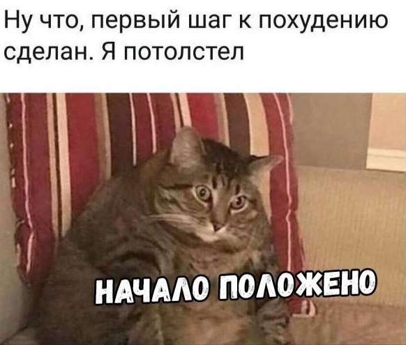 картинка про похудение