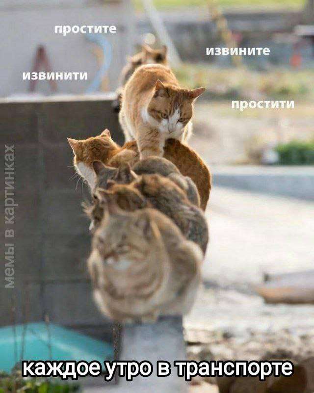 мем про транспорт