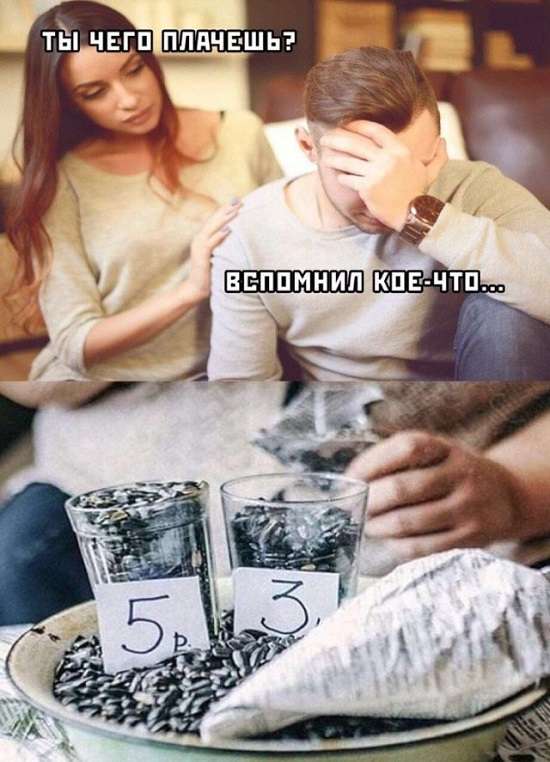 смешная картинка про семечки