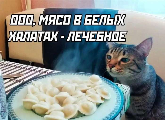 прикольная картинка про пельмени